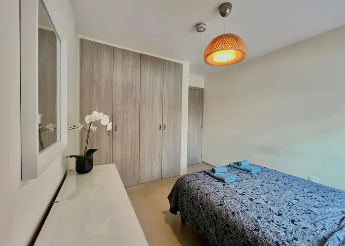 Monte Napa Moments 圣纳帕